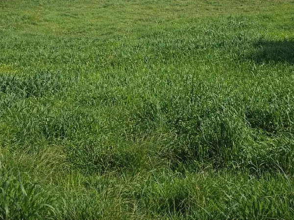 Terrain 500 m²