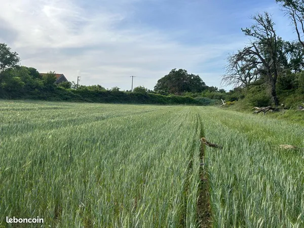 Terrain avec eau avec rivière à 150m