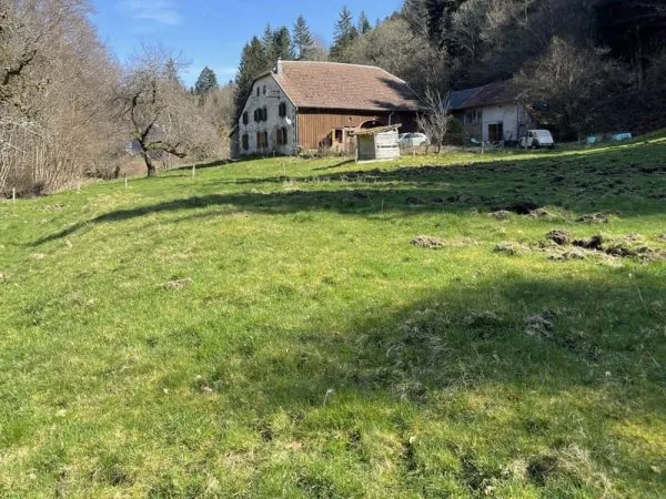 Ferme avec terrain de 2,7 hectares secteur mille étang