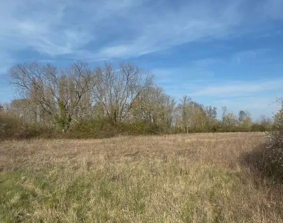 Terrain agricole