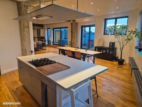 Vends Loft 140 m2 Loos