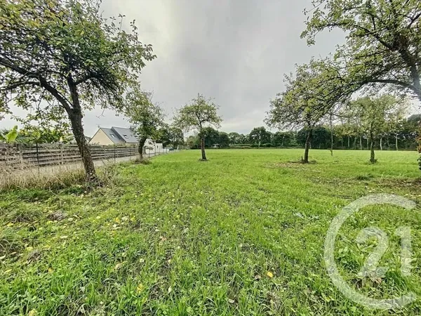 Terrain 741 m²