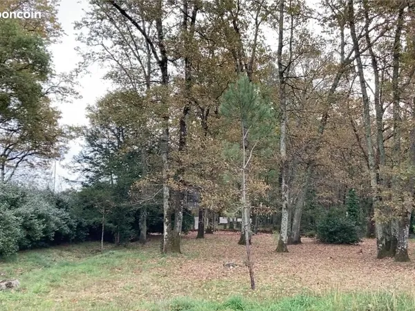 Terrain 391 m² Le Taillan Medoc