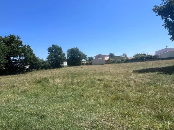 Terrain 443 m²
