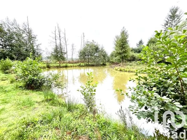 Terrain 17696 m²