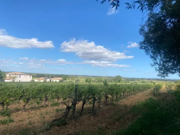 Terrain 475 m²