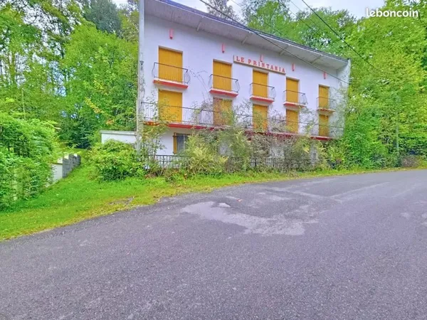 Hôtel particulier 13 pièces 300 m²