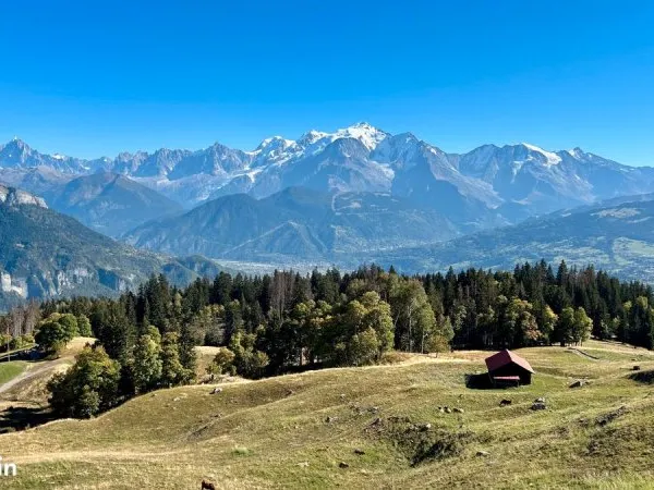Chalet d'alpage a vendre