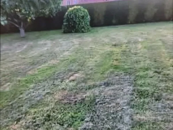 Terrain à bâtir