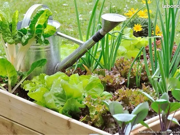 Loue jardin
