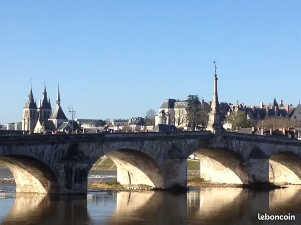 Apt t2/3 en rdc blois belle vue loire