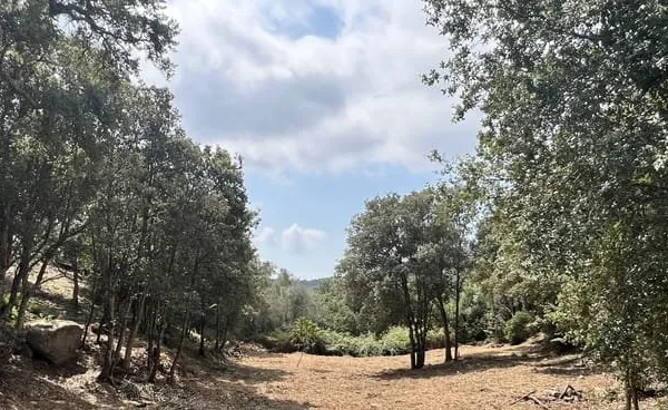 Terrain 968 m²