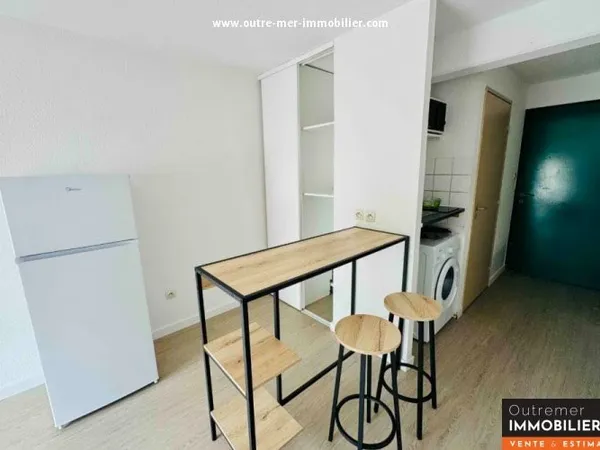 Appartement 1 pièce 19 m²