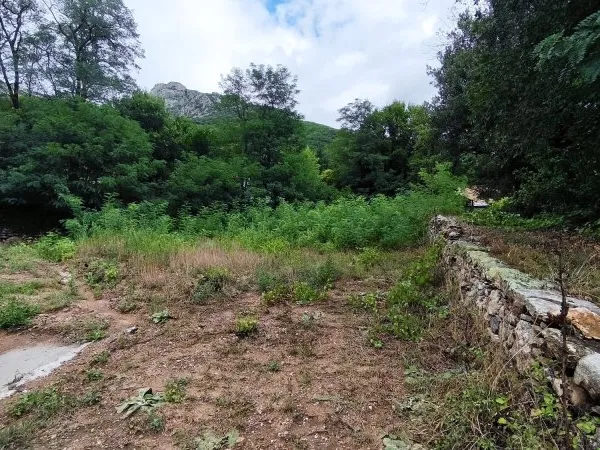 Terrain 695 m²