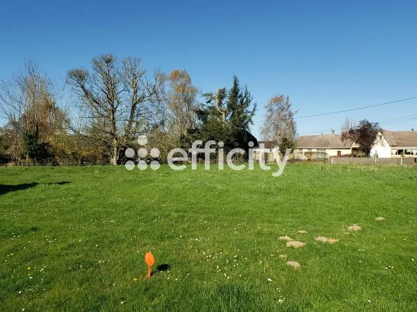 Terrain 1306 m²