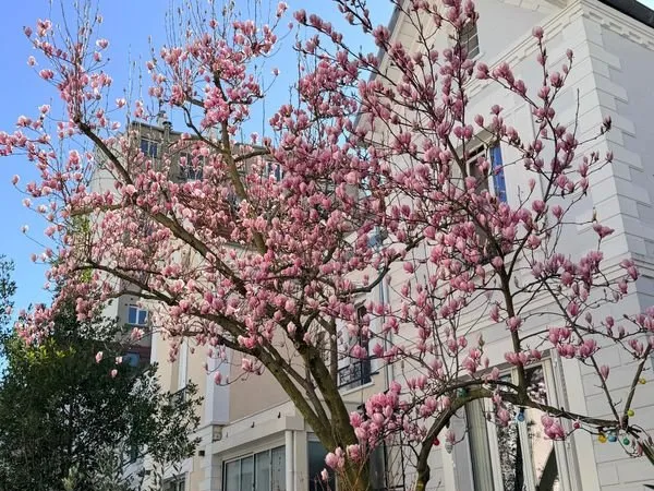 Maison dans une villa d'auteuil