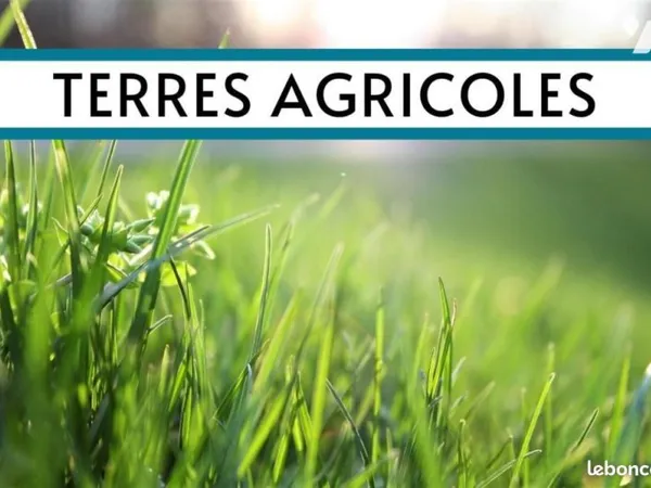 Terrain 108570 m² ST DENIS D ANJOU