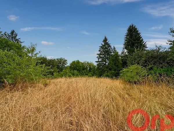 Terrain 1000 m²
