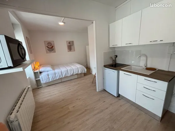 Joli STUDIO / T1 rénové en centre ville de VICHY Ne cherchez plus