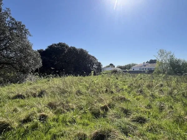 Terrain 3737 m²