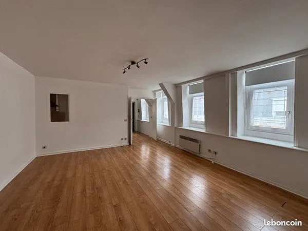 Lille - appartement à louer 2 pièces 53m²