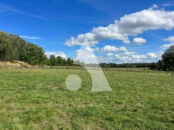 Terrain 17741 m²