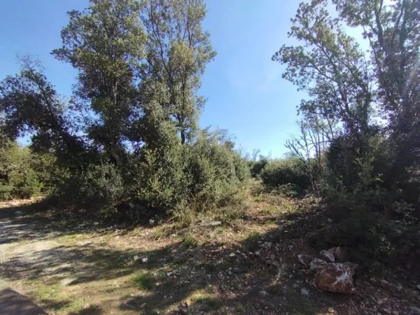 Terrain 1000 m²