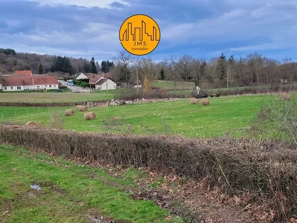 Terrain 5557 m²