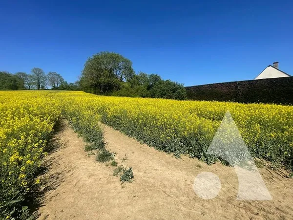 TERRAIN CONSTRUCTIBLE 580 M²