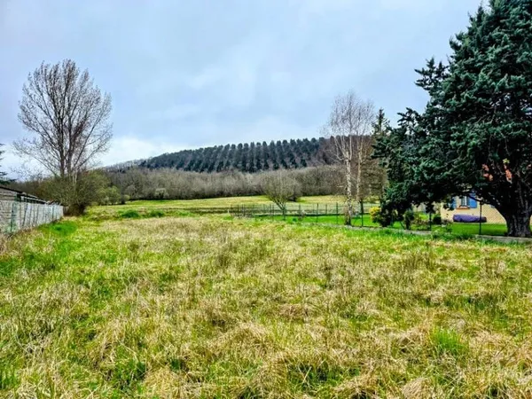 Terrain 2647 m²