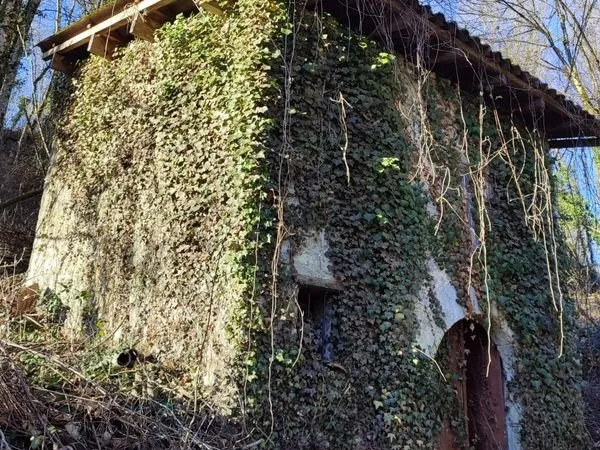 Grangeon sur terrain boisé