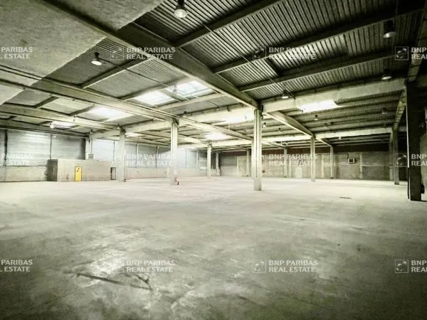 Local d'activité 4058 m²