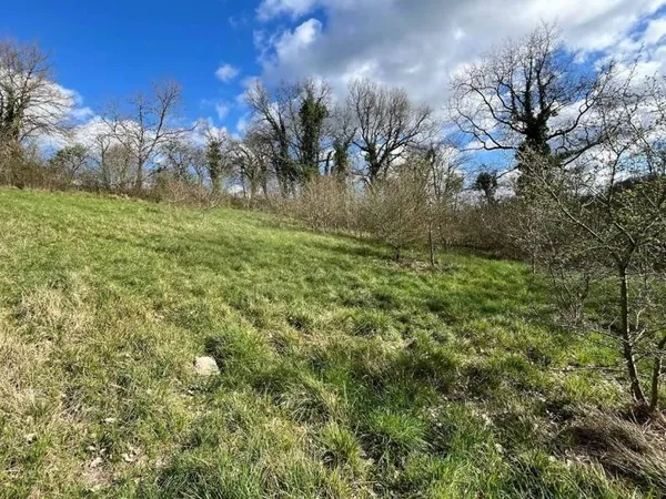 Terrain 4657 m²
