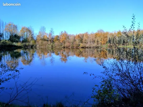 Terrain de loisir avec étang