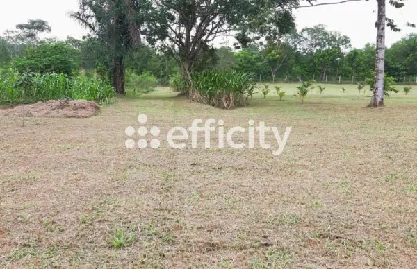 Terrain 12836 m²