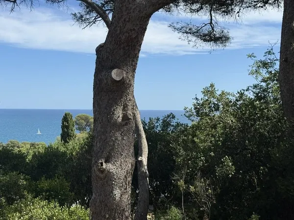 Sète, mont Saint Clair sud, propriété avec vue mer,