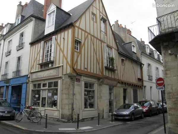 Coloc 4 etudiants tours centre 395 euros