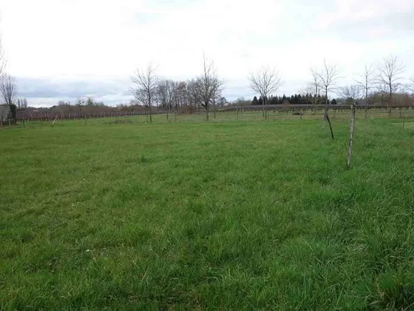 Beau terrain à bâtir (1005m2) à Campugnan