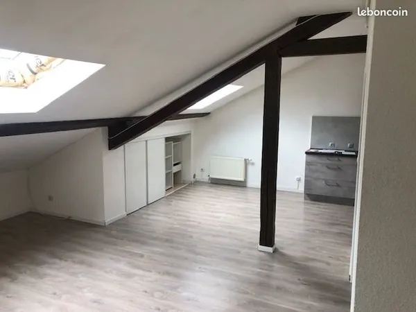 Appartement douillet calme et renove pour personne seule ou couple serieux