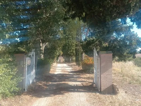 Appartement Location Baziège 1p 30m² 600€