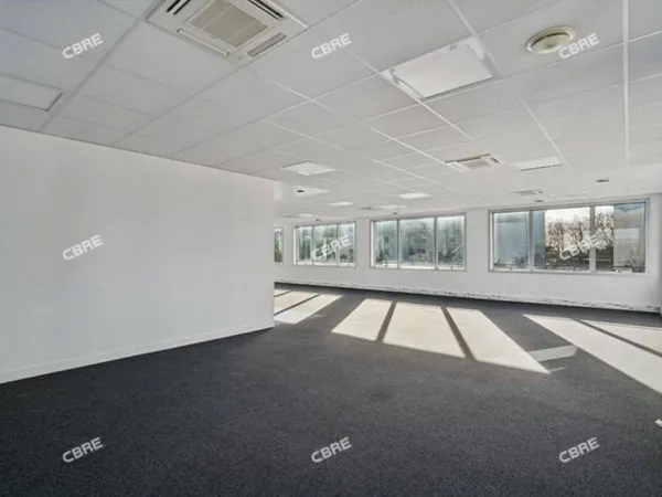 Bureau 275 m²