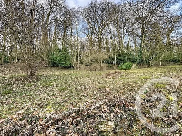 Terrain 6784 m²