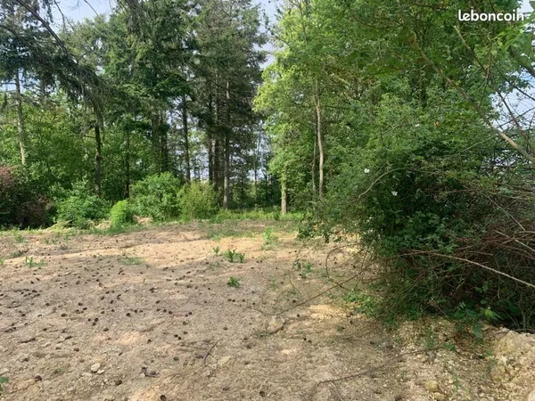 Terrain de loisirs