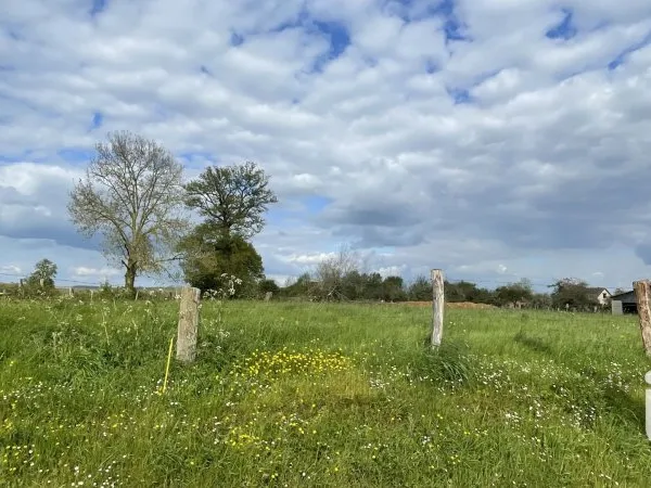Terrain 505 m²