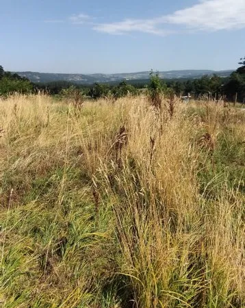 Terrain constructible Malzieu Ville