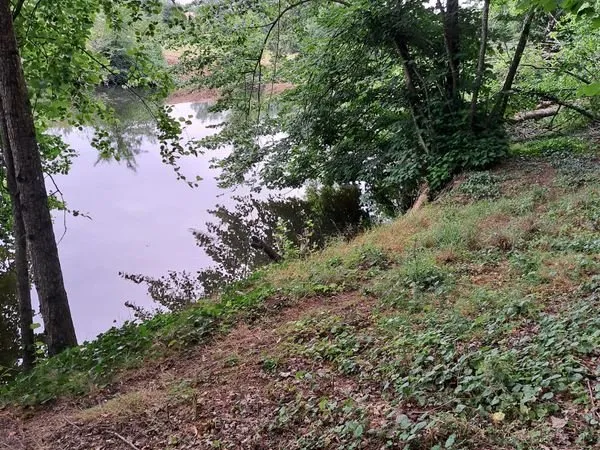 Terrain boisé bord de rivière