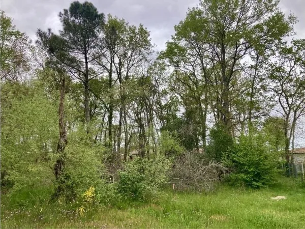 Terrain 490 m²