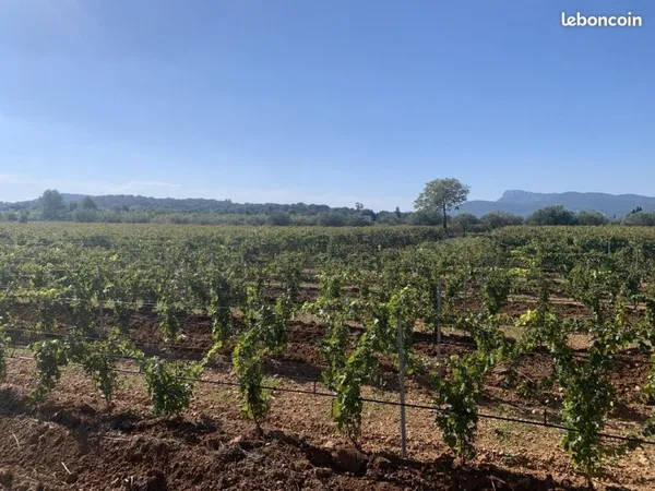 Terrain 113500 m² Vidauban