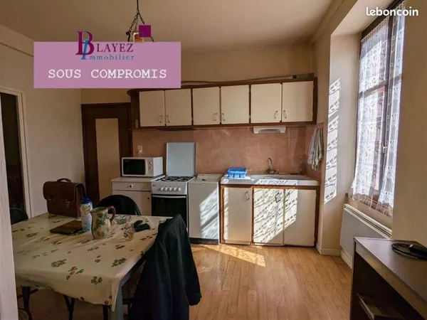 Appartement 3 pièces 50 m²