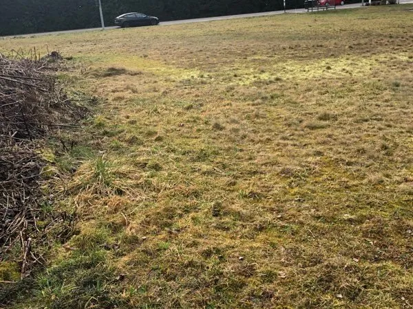 Terrain à bâtir